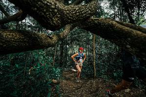 BIB: 
                            <button type="button" onclick="openModal(25708550)" class="btn btn-primary btn-sm float-right btn-popup" data-toggle="modal" data-target=".modal-high-quality">
                        <i class="fas fa-shopping-cart"></i> Add to Cart
                    </button>
                                            <button type="button" onclick="isThisMe(25708550, true)" class="btn btn-success btn-sm float-right btn-popup btn-isme hidden" data-toggle="tooltip" data-placement="bottom" title="นี่คือรูปของคุณใช่ไหม คลิกที่นี่เพื่อเอาเข้าอัลบั้ม">
                        <i class="fas fa-plus"></i> Add to album
                    </button>
                    <button type="button" onclick="isThisMe(25708550, false)" class="btn btn-warning btn-sm float-right btn-popup btn-isnotme hidden">
                        <i class="fas fa-ban"></i> Remove from album
                    </button>